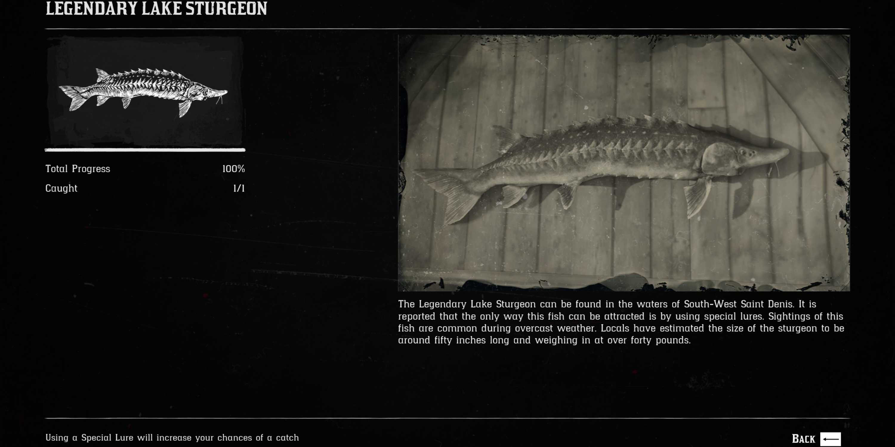 Lergrend Fish Spawn Rdr2 Red Dead Redemption 2: All Legendary Fish Locations