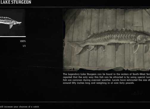 Fish Compedium Rdr2 Red Dead Redemption 2: All Legendary Fish Locations