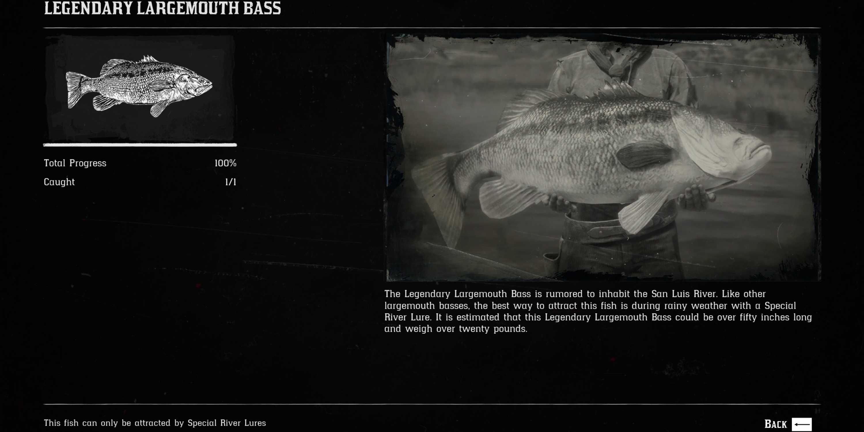 Fish Compedium Rdr2 Red Dead Redemption 2: All Legendary Fish Locations