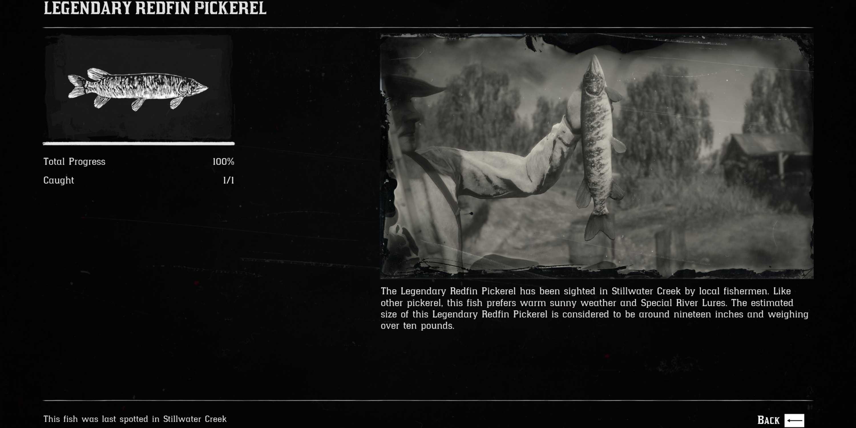 Fish Compedium Rdr2 Red Dead Redemption 2: All Legendary Fish Locations