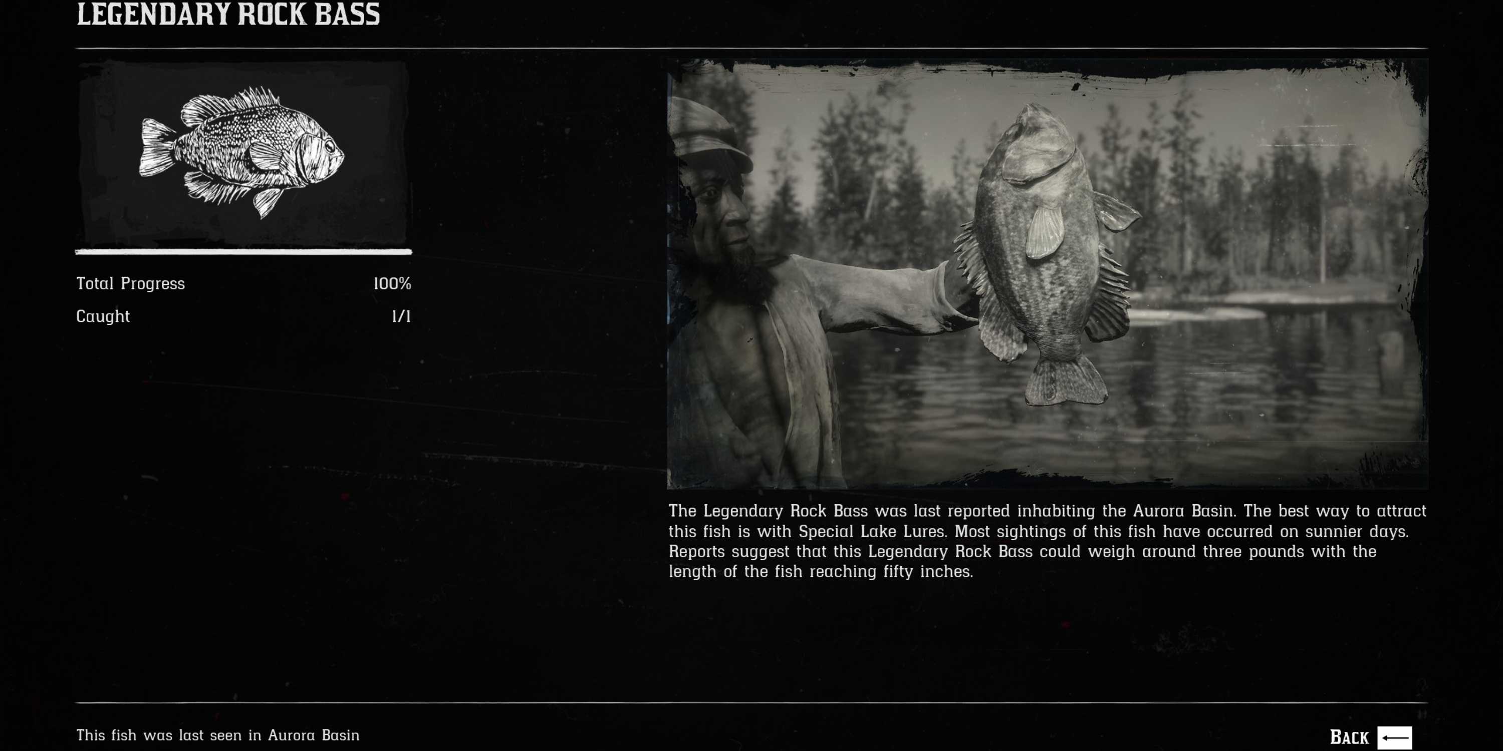 Fish Compedium Rdr2 Red Dead Redemption 2: All Legendary Fish Locations