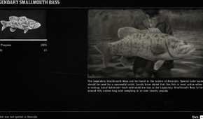 Fish Compedium Rdr2 Red Dead Redemption 2: All Legendary Fish Locations