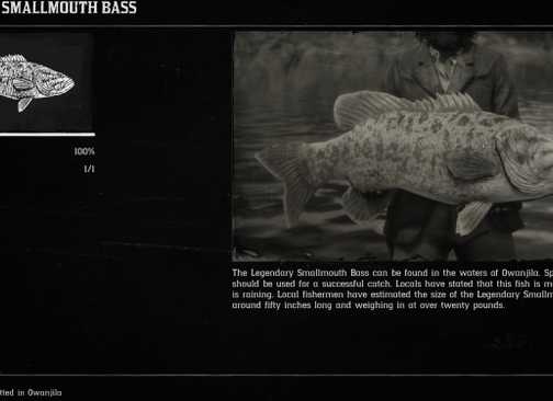 Fish Compedium Rdr2 Red Dead Redemption 2: All Legendary Fish Locations