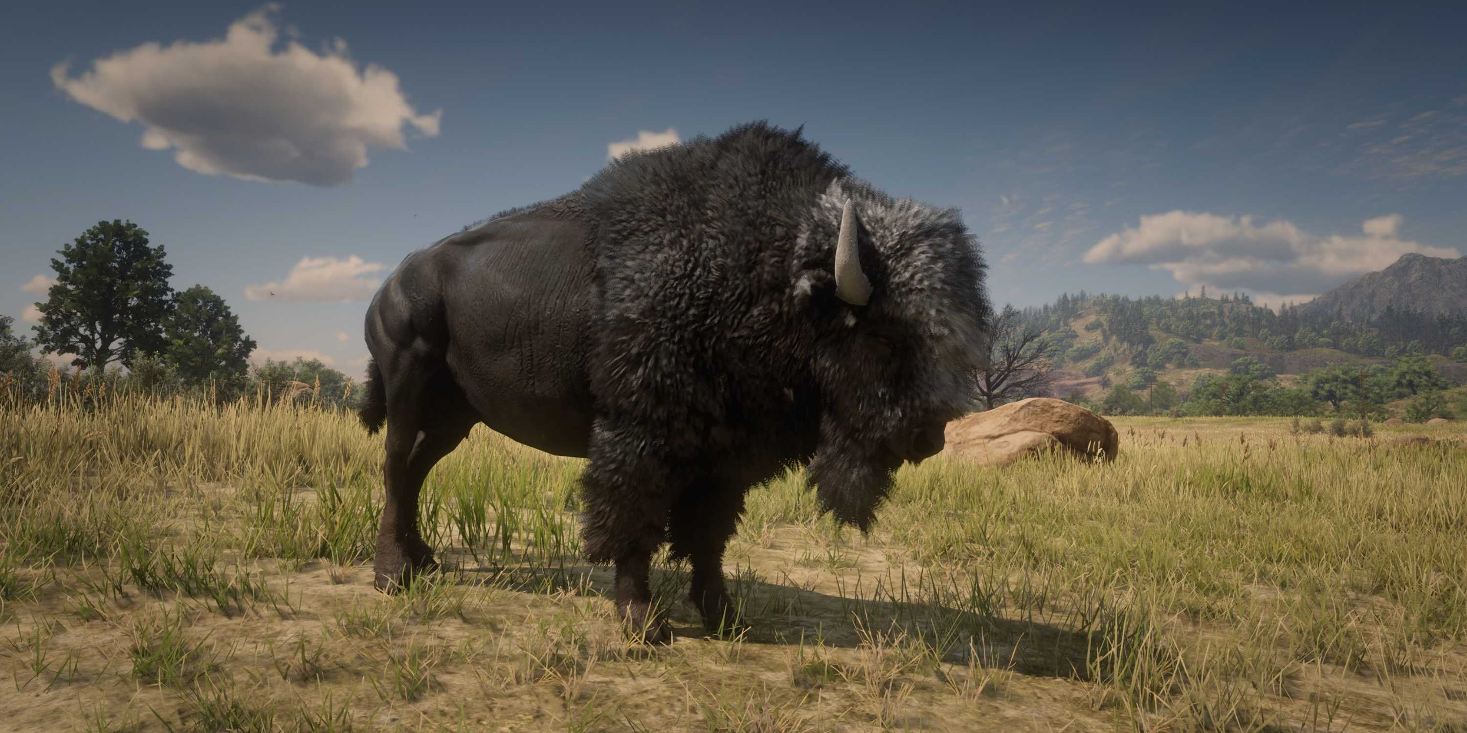 Bison Rdr2 RDR2: All Talismans & Trinkets (& Locations)