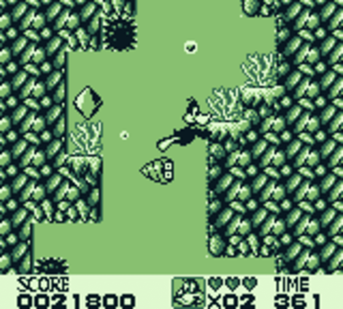 Looney Tunes - 3 (1)