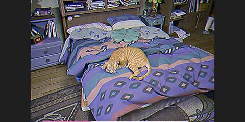 Lost Records Bloom and Rage 13