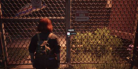 Lost Records Bloom & Rage Bar Gate