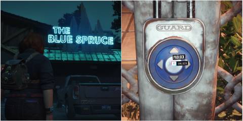 lost records bloom & rage Blue Spruce Bar Gate