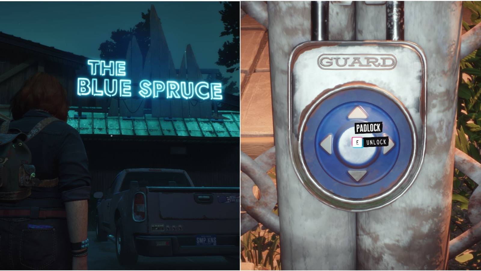 lost records bloom & rage Blue Spruce Bar Gate