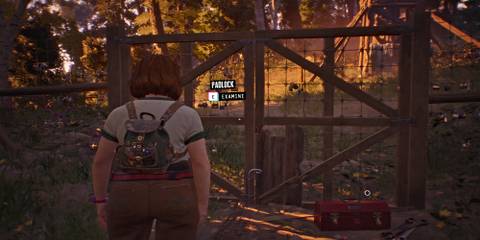 lost-records-bloom-rage-corey-dylan-padlock-distance