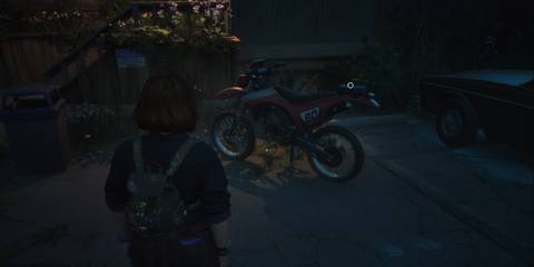 Lost Records Bloom & Rage Dylon Bike