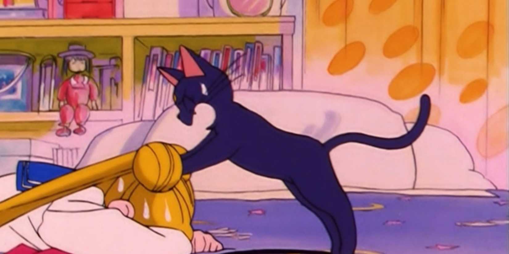 Luna and Usagi in Sailor Moon