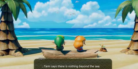 link and marin talking