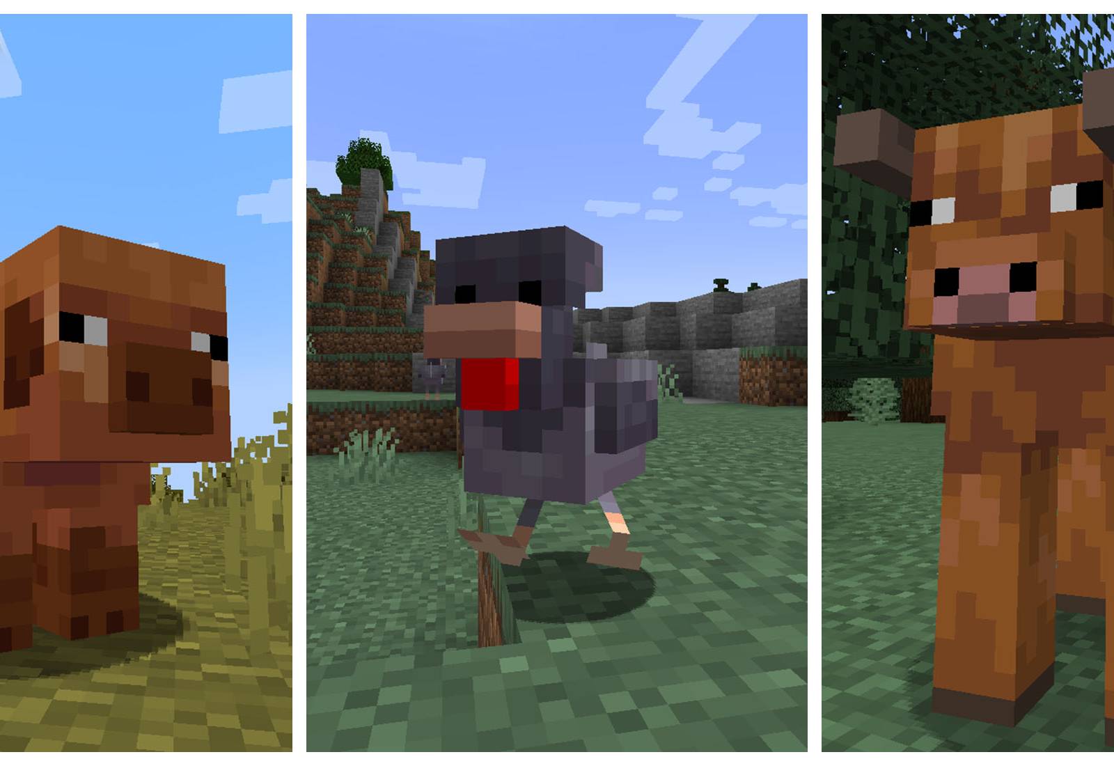 Cow Variants In Minecraft Cow Minecraft Minecraft – Mooshroom Cow
