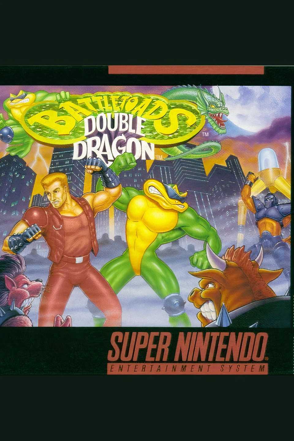 Battletoads / Double Dragon Tag Page Cover Art