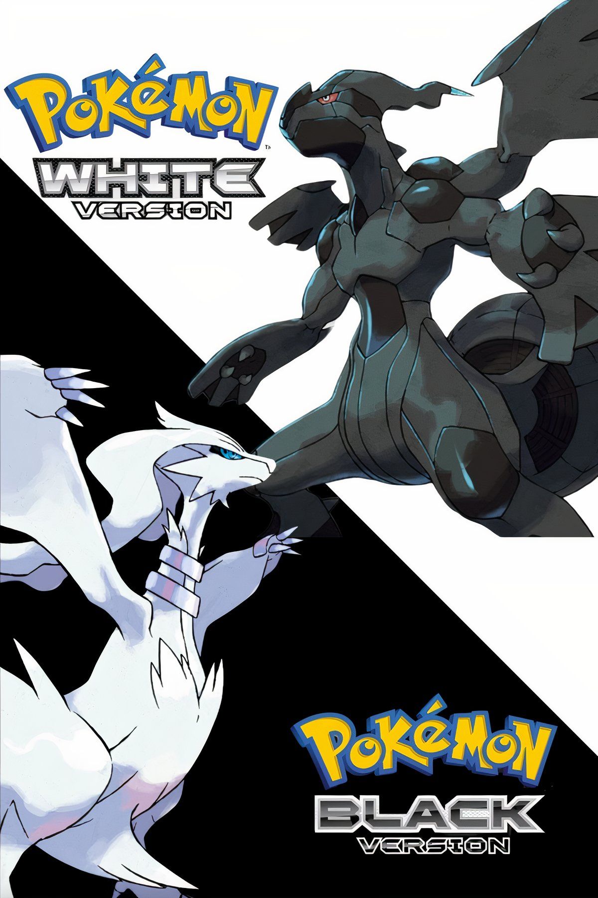 Pokemon Black and White Tag Page Cover Art