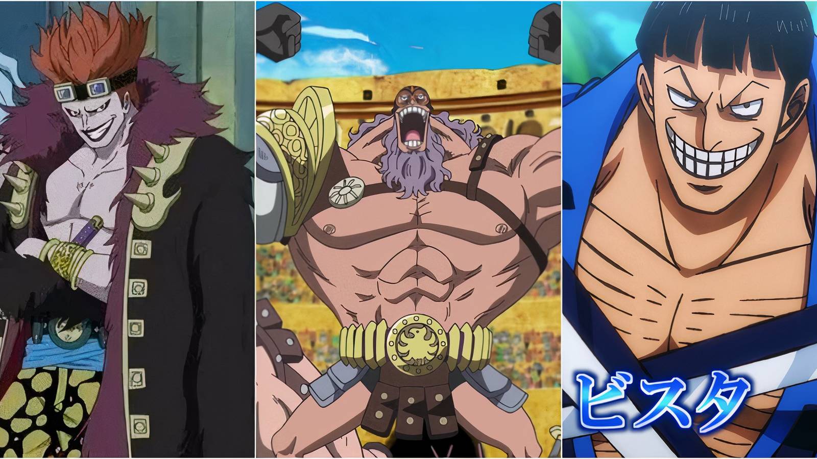 Kidd, Jesus Burgess, Vista in One Piece: Characters Who Love To Fight
