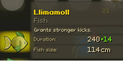 Llimamoll stats