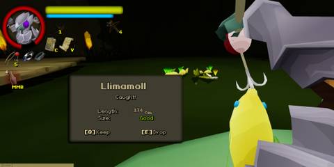 Caught Llimamoll in FlyKnight