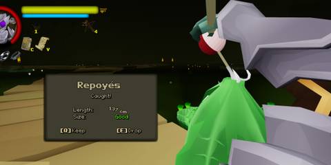 Caught Repoyes in FlyKnight