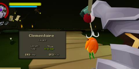 Caught Clementaire in FlyKnight