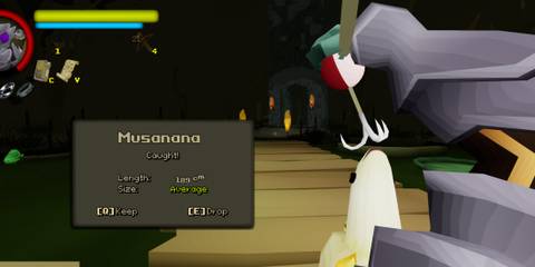 Caught Musanana in FlyKnight