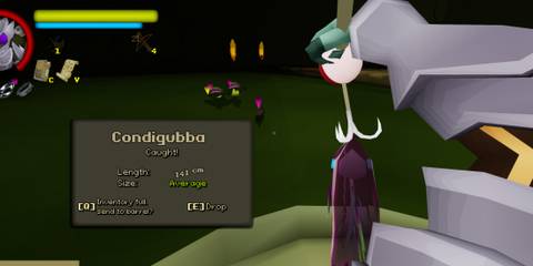 Caught Condigubba in FlyKnight