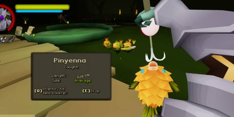 Caught Pinyenna in Flyknight