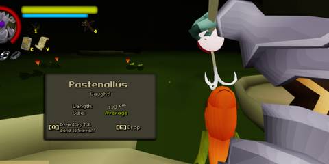 Caught Pastenallus in Flyknight