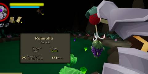 Caught Raimollo in FlyKnight
