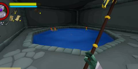 Ruined City Pond in Flyknight