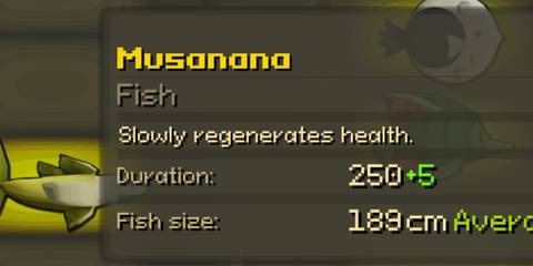Musanana stats in FlyKnight