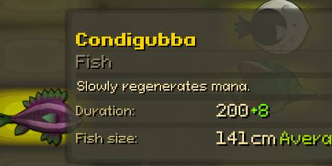 Condigubba stats in FlyKnight