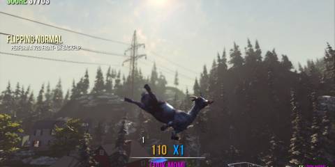 Goat ragdoll flying through the air