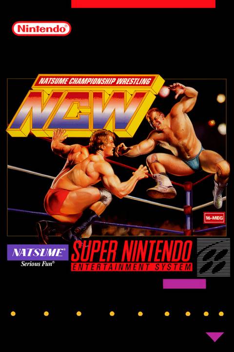 Natsume Championship Wrestling Tag Page Cover Art