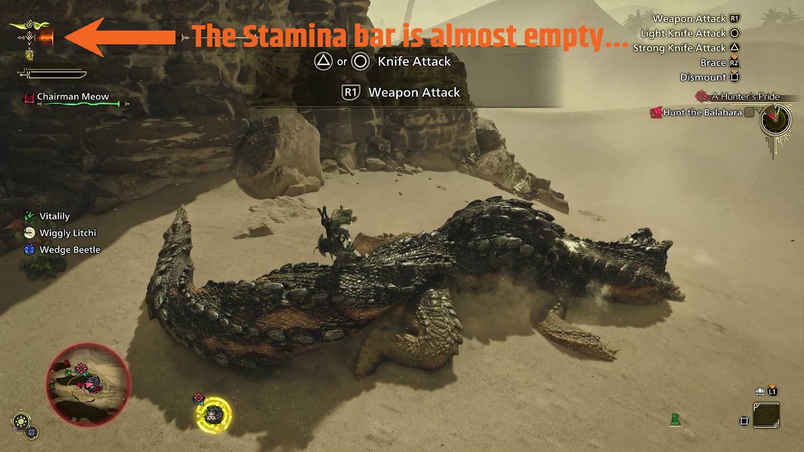 monster-hunter-wilds-mounted-stamina-bar