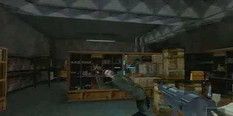 cate shooting a harm agent