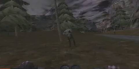 cate riding towards harm agents