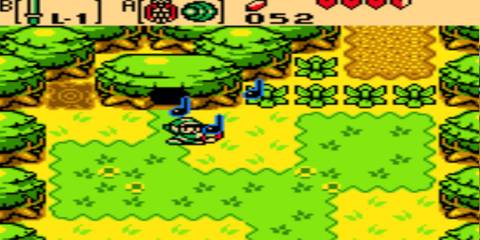 link in front of trees