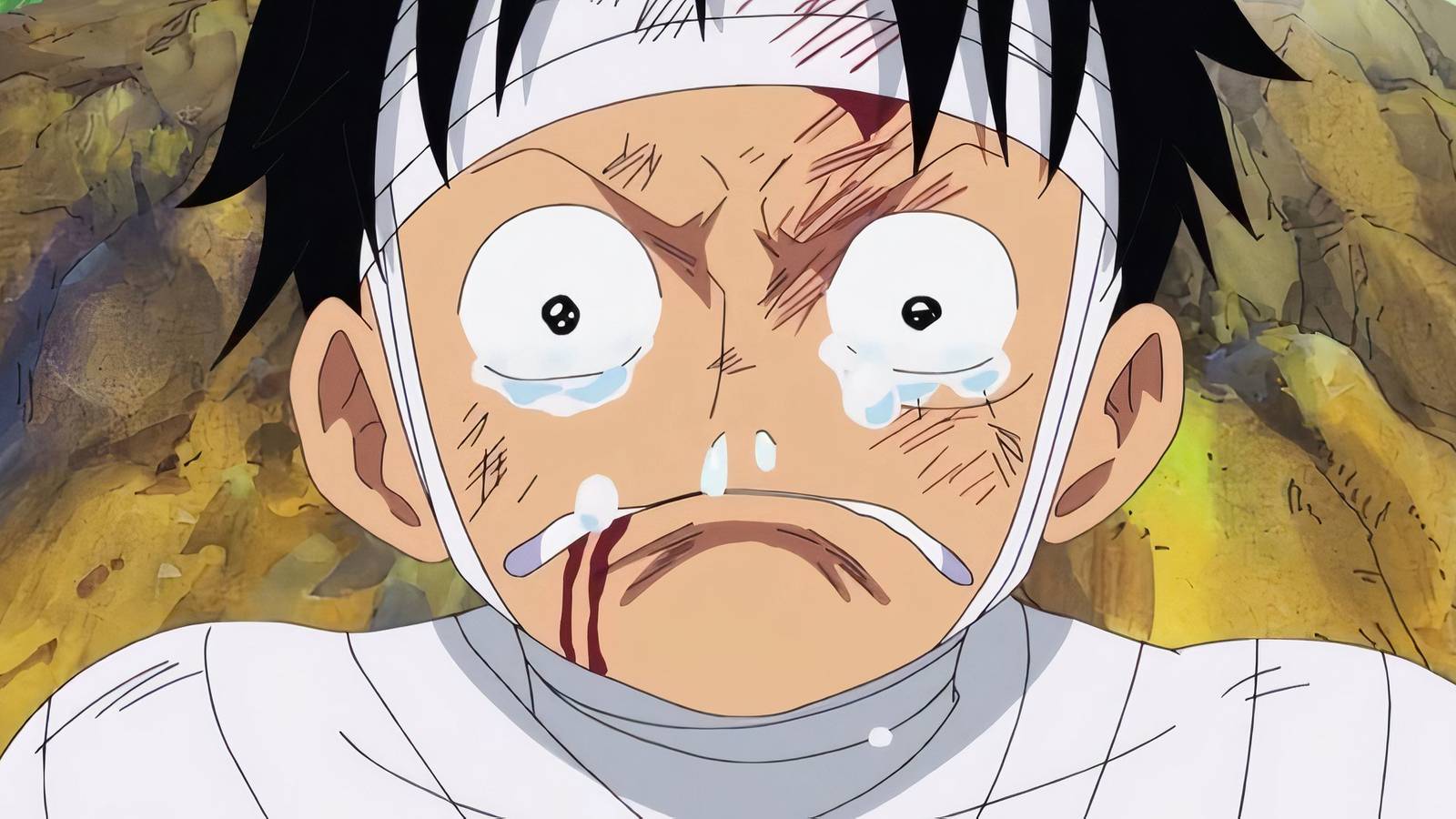 One Piece 1139 Reportedly A Very Short Chapter