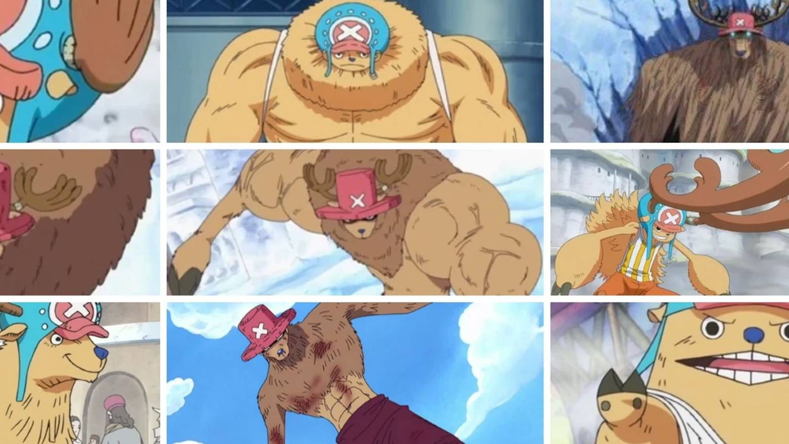 One Piece: The Rumble Balls, Explained