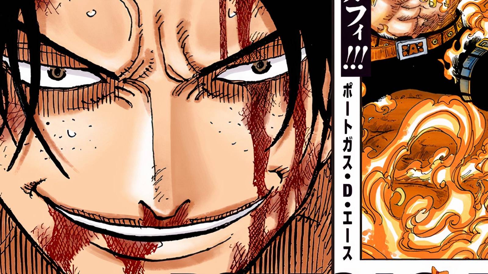 One Piece To Release A Book About Ace's Whole Life Supervised By Oda Himself -1