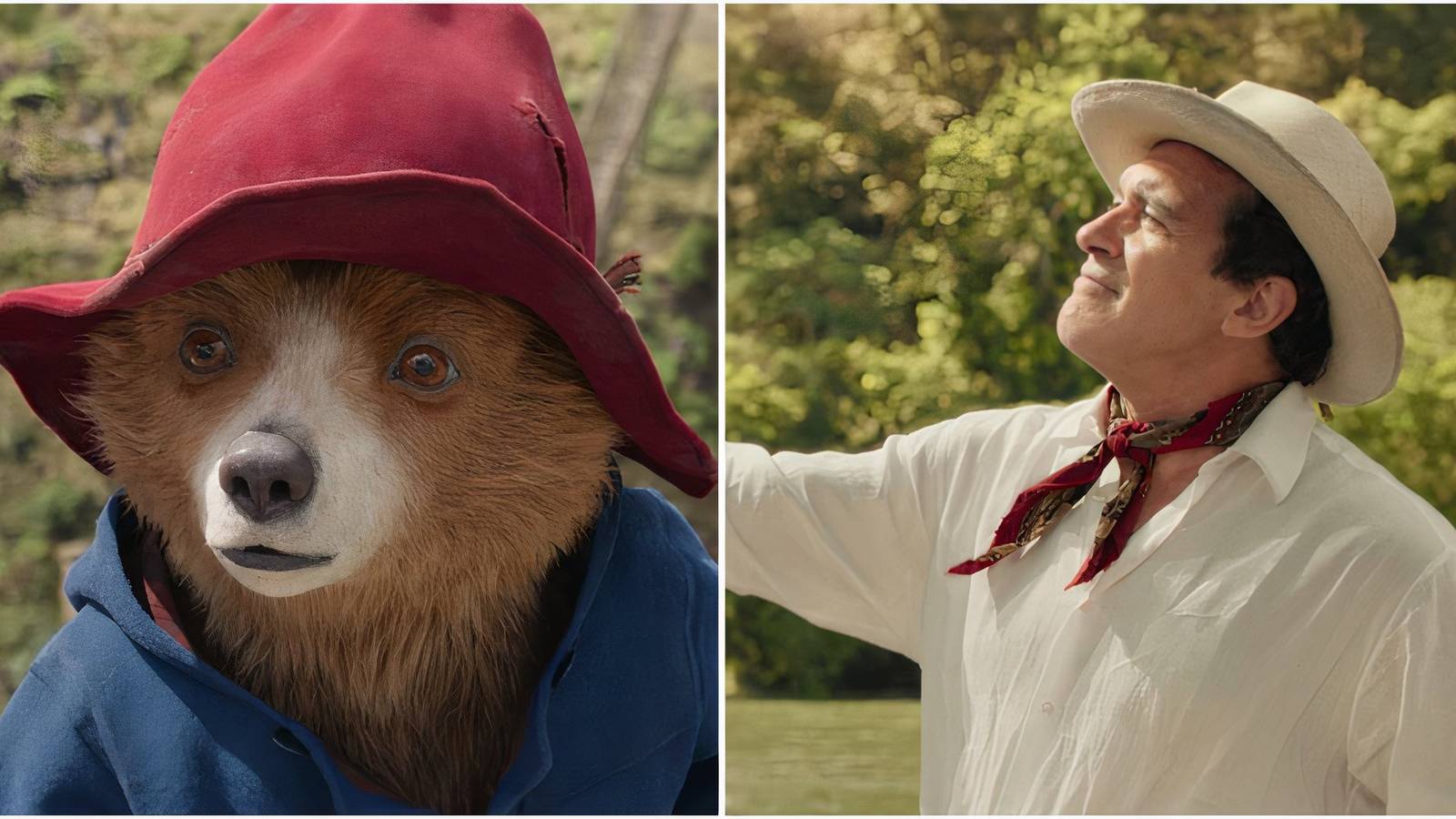 Paddington and Hunter in Paddington in Peru