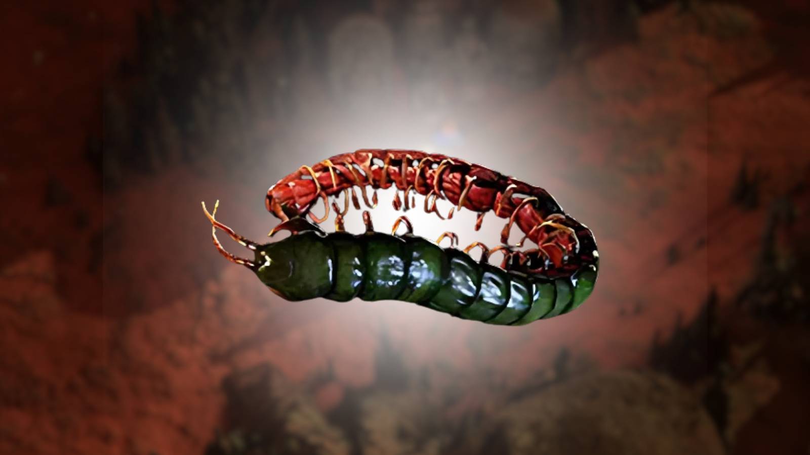 Path of Exile 2_ How to Get Ryslatha's Coil Ornate Belt feature image