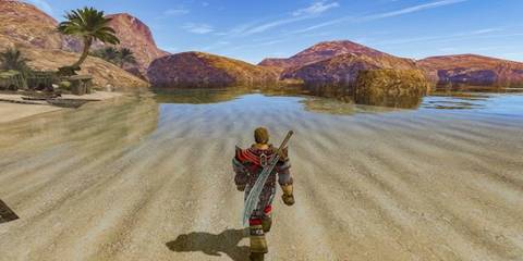 Player Along the Coast in Gothic 2