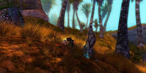 Player Gathering Glyphs in The Guild 2: Renaissance