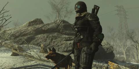 Player Protected & Armed in Fallout 4