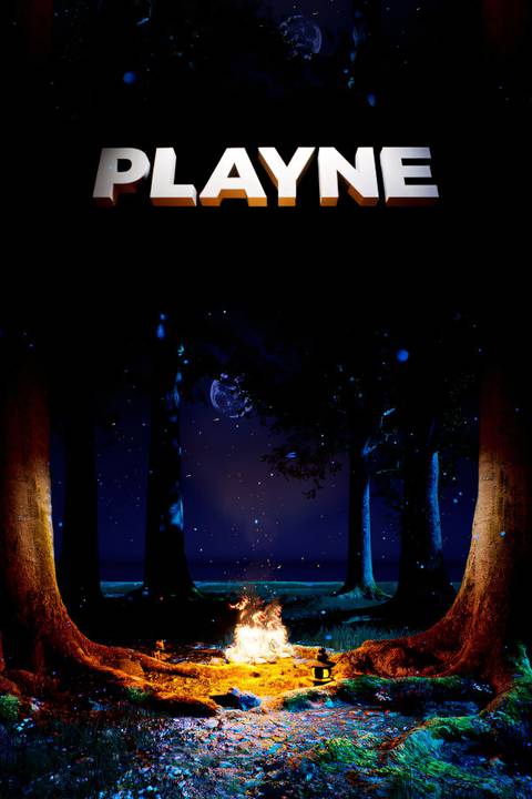 Playne Tag Page Cover Art