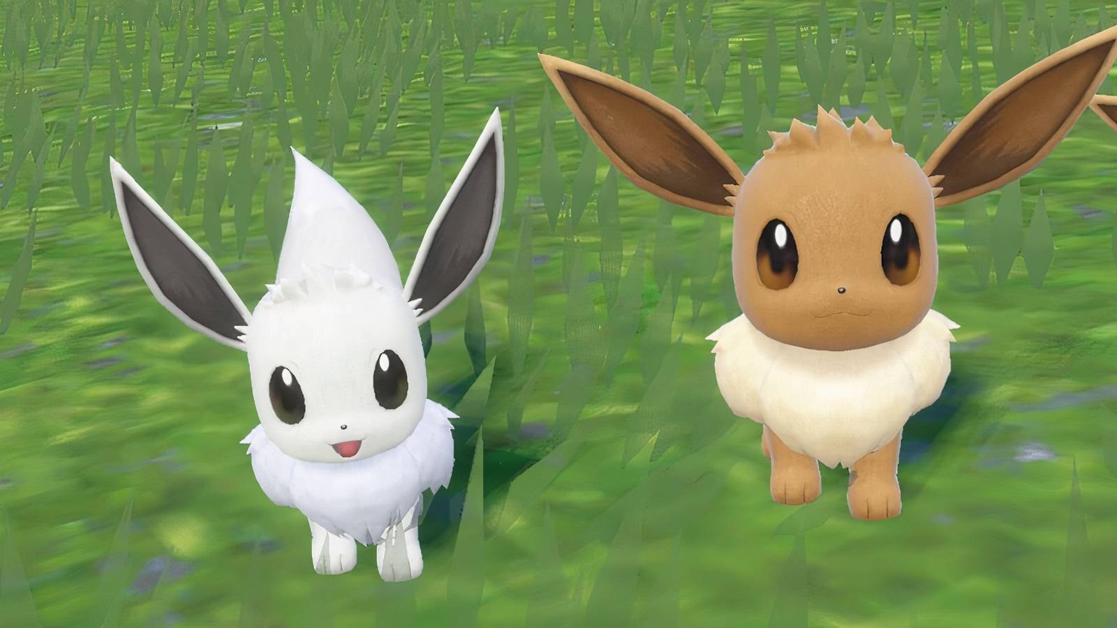 eevee kitchenware pokemon collection