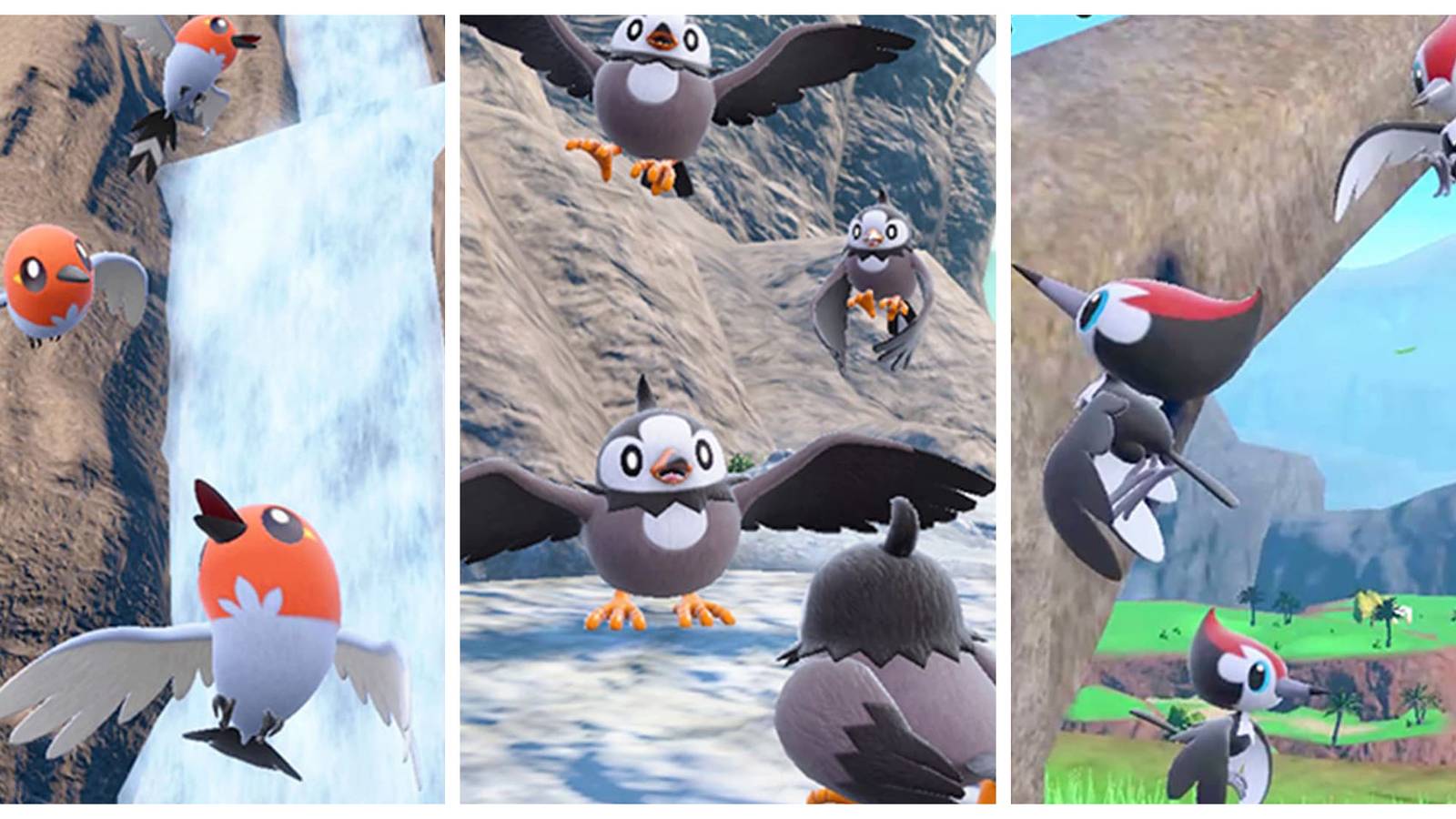 Pokemon Scarlet Violet Regional Bird Outbreak